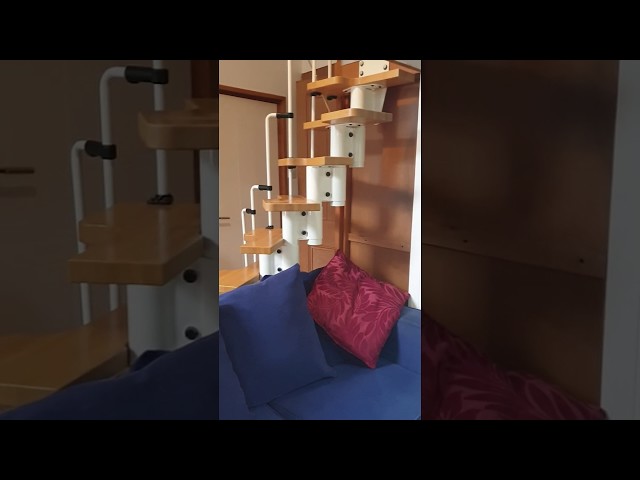 Video 1: 