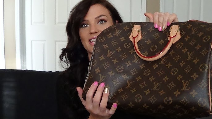 Louis Vuitton Speedy 40 Bag Liner – Luxe Collective