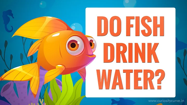 Do fish drink Water? | How do fish drink water? |Osmosis