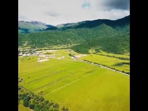 Природа Панисского ущелья. პანკისის ხეობის სილამაზე.