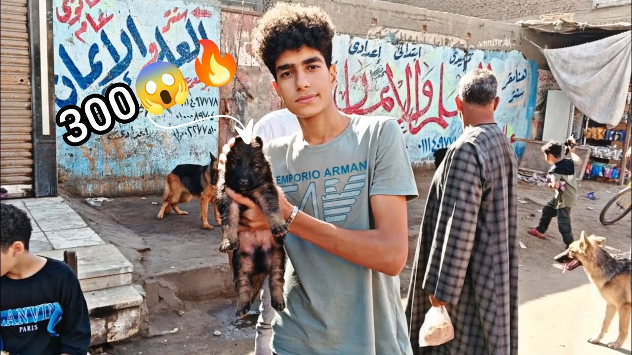 جولة في سوق الجمعة | مفاجآت في أسعار الحيوانات كلاب (بيتبول_جيرمن_حمام_مالينو