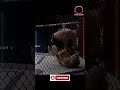 UFC #shorts #ufcgym #ufc #mma
