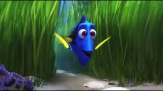 Finding Dory Dory Finds Her Parents