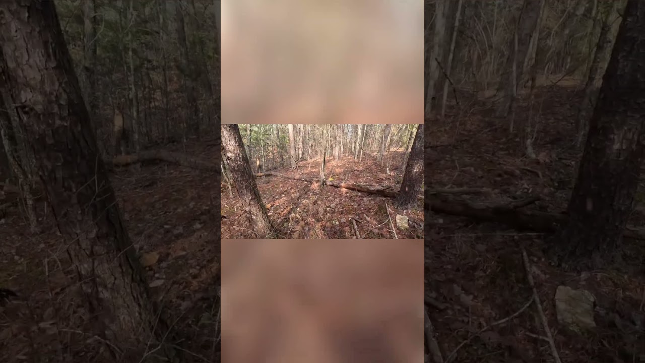 Обратный отсчёт до сезона охоты на оленей 2025 года — короткометражки Killshot — часть 6 