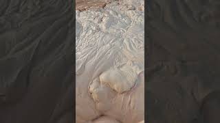 Bottomless Creamy Mud