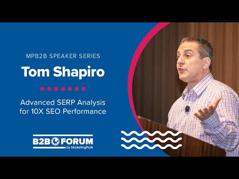 SEO Consultant