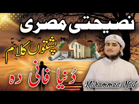 New Pashto Kalam 2020 Duniya Fani Da نصیحتی مصری By Muhammad Naif