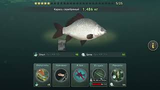 World of Fishers. Река Днепр #25. Медали. Новичок #4