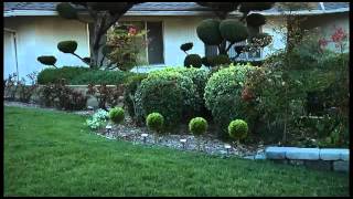 Smart Solar - Baytree Solar Lights