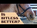 Is "Bitless" Better?