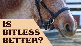 Is 'Bitless' Better?