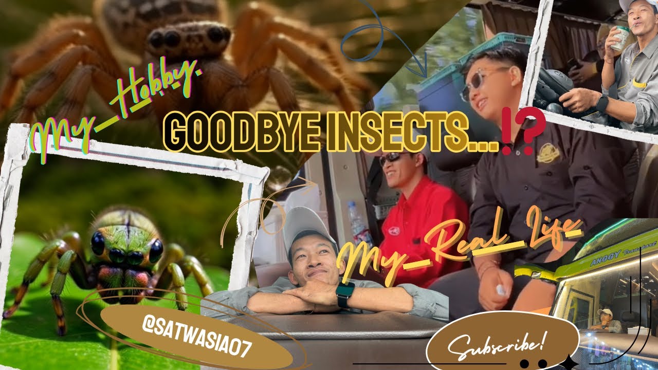 Behind The Lens: My Real Life as a Driver | Dibalik Lensa: Jati Diri Asliku Sebagai Driver! 