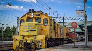 [7379] 서울-부산 무궁화 1211열차 화명역 출발
