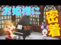 【あつ森アニメ】お姫様に密着!!どんなことをしてるの?
