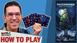 Photosynthesis: Under The Moonlight - How To Play