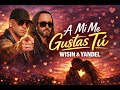 WISIN YANDEL A MI ME GUSTAS TÚ VERSION IA mp3