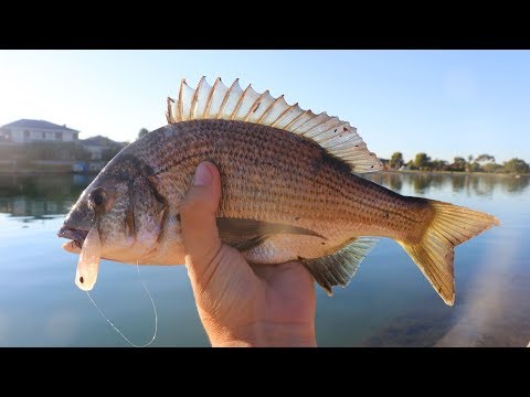 best fishing pole for crappie Dip Fishing Crappie