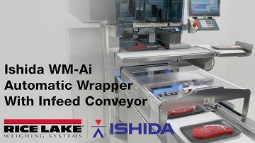 WM-Ai Automatic Wrapper with Infeed Conveyor
