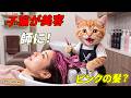【感動】美容師に憧れたここにゃん…見習いから人気No.1スタイリストになった物語🥹✂️✨