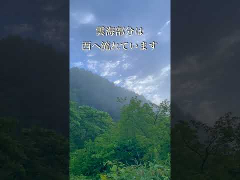 歌志内市の自然シリーズ No.106 「雲海の日の街なかって、どんな様子？」