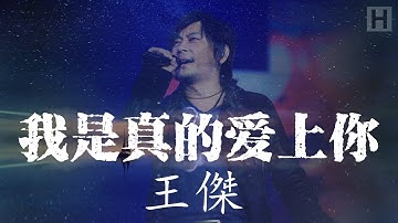 王杰 - 我是真的爱上你『我偷偷的愛上你 卻不敢告訴你。』【動視歌詞Lyrics】