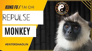 Tai Chi Chuan | Repulse Monkey | Applications | Kung Fu Training screenshot 3