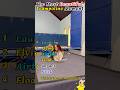 #swimming #pool #swim #trampoline #jump #flip #backflip #acrobatics #tricking #fails