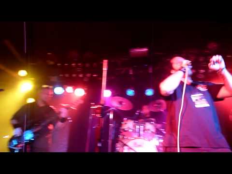 Live Evil - Caught In A Mosh