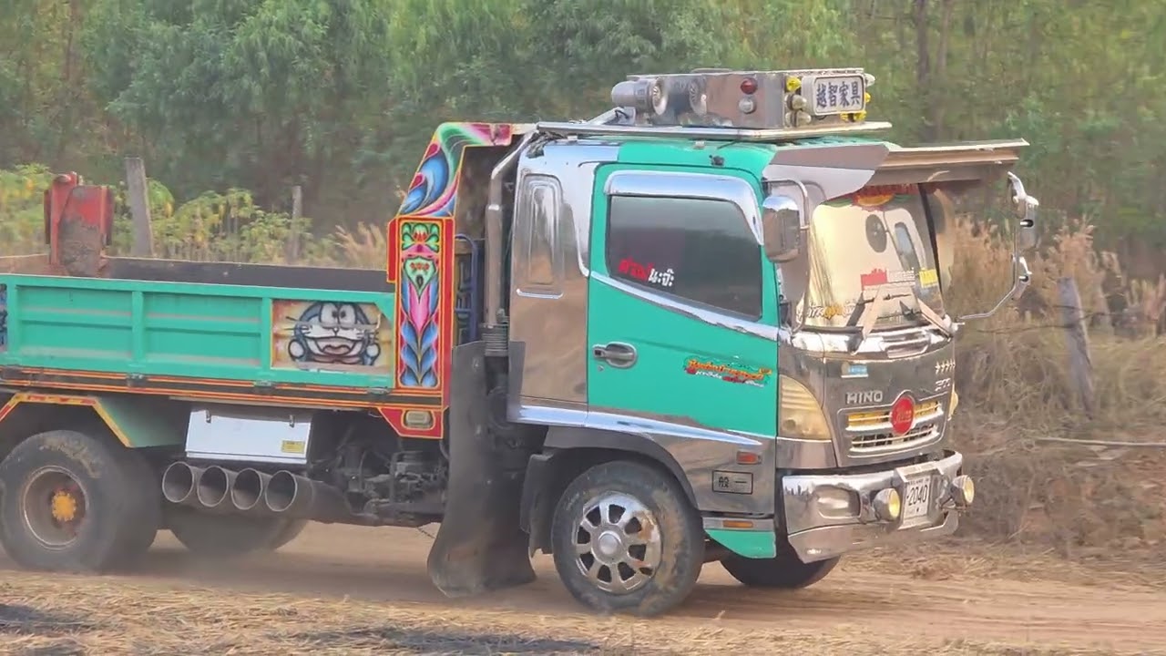 มาดูเจ้าแมว 313 เล่นฝุ่นตลบอบอวล