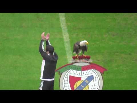 Benfica Eagle Flying Before the Game HD