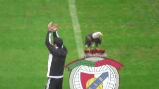 Benfica Eagle Flying Before the Game HD screenshot 3