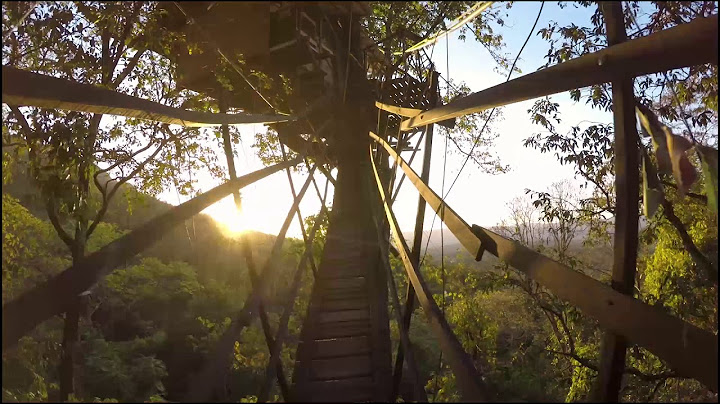 One day in the tallest treehouse in Brazil!!!