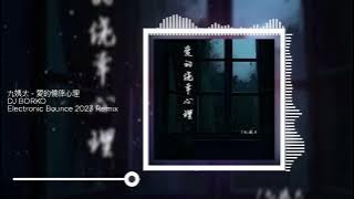 九姨太 - 愛的僥倖心理 DJ BORKO Electronic Bounce 2023 Remix