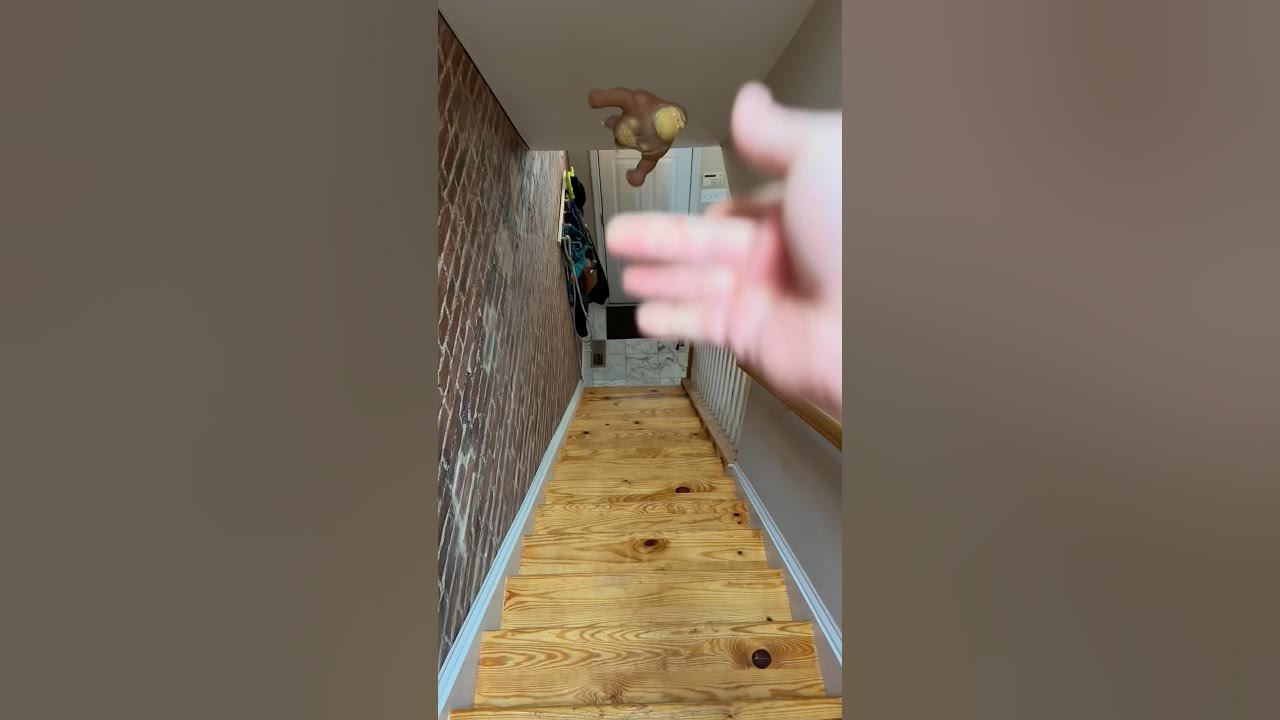 Squishy Monkey Thrown Downstairs 🙊 #shorts - YouTube