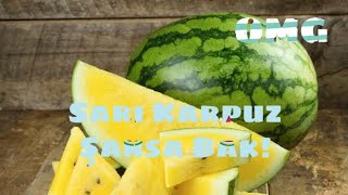Sarı Karpuz Yediniz Mi?