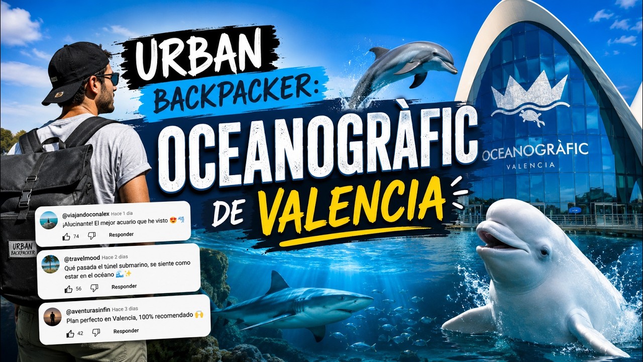 Visitamos el Oceanogràfic de Valencia 🐠 El mayor acuario de Europa ...