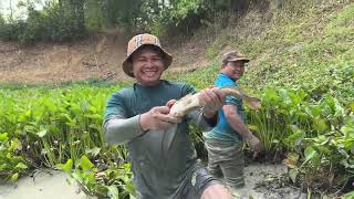 Cha kroeung frog and eel and grill fish in banana stem