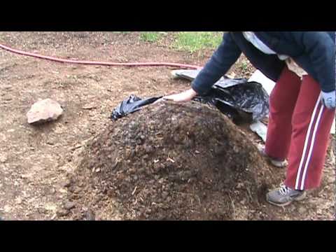 How To Compost Manure In Thirty Days Youtube