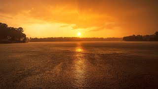 Intense rain at sunset. 8K HDR. screenshot 2