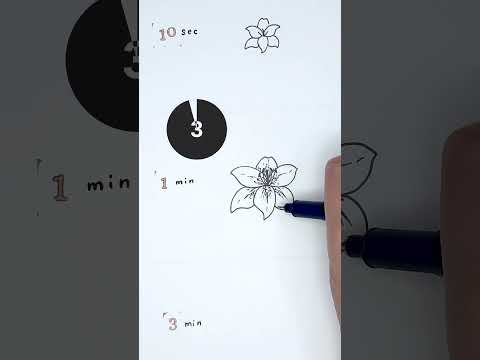 Lily flower drawing