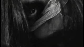 ChaosWolf - San Anselmo de oxímoron