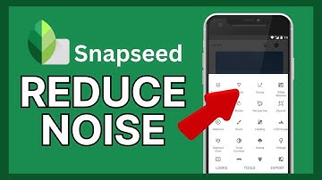 How to Reduce Noise in Snapseed 2024?