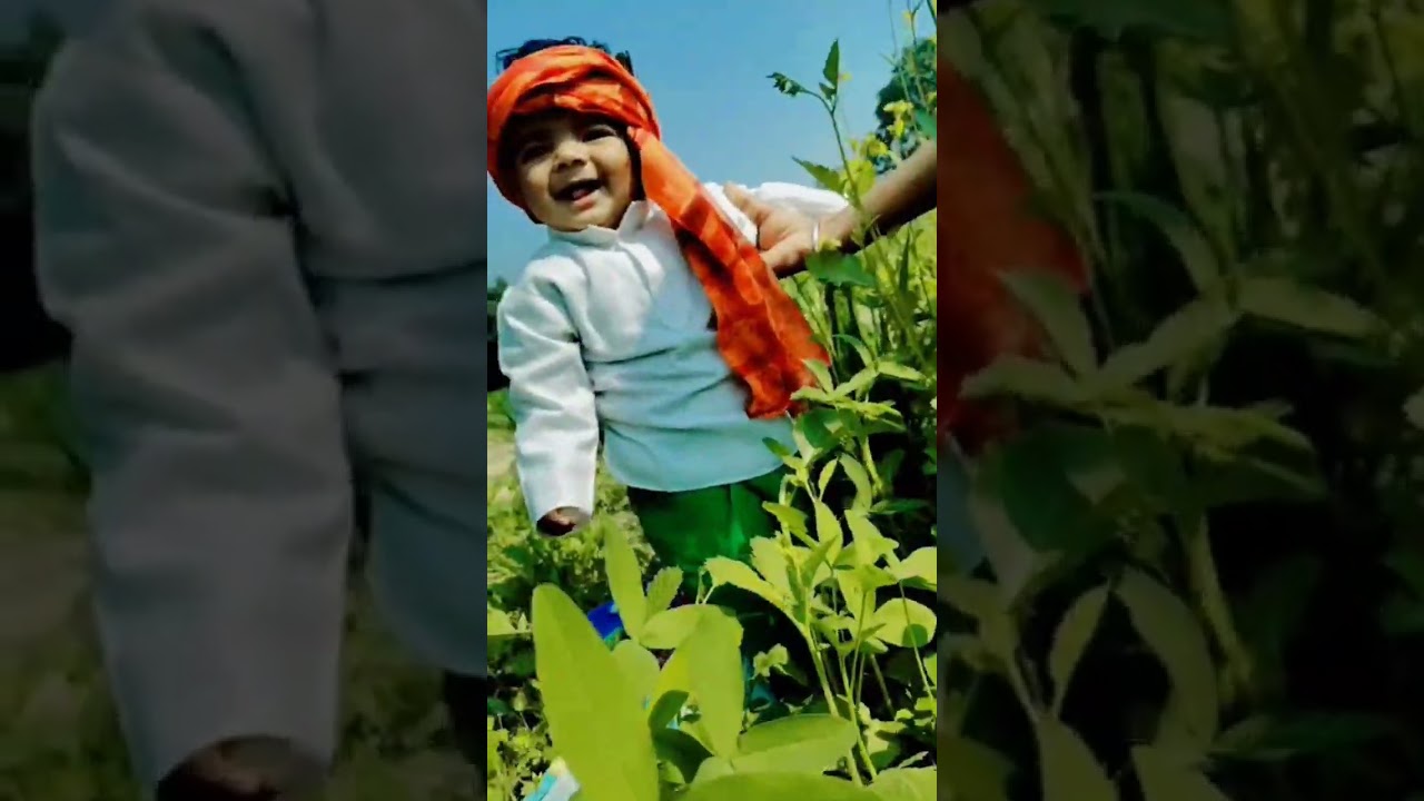 happy republic day celebration 