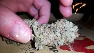 Home Grown La Affie Cannabis Rolling a Huge Joint