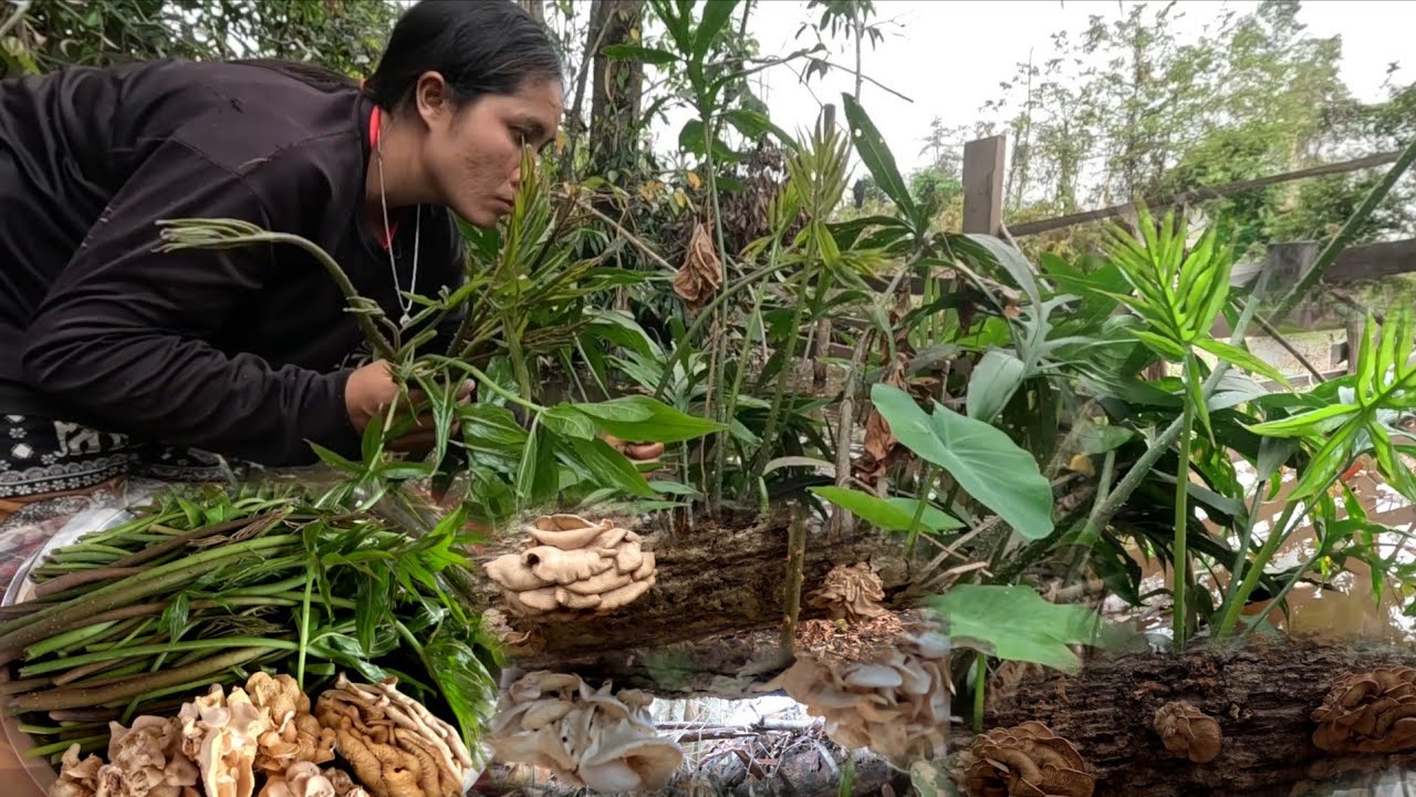 25 กุมภาพันธ์ ค.ศ. 2026