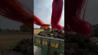 Kubota Loading Speed! 🚜🚀 Super Fast Harvester #shorts #viralshort #ytshort #subscribe #ytstudioes .
