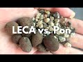 LECA vs. Lechuza Pon: Maintenance, Growth Rate, Price, and more!
