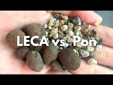 Cost Comparison: LECA vs Lechuza Pon vs DIY Pon — LECA Addict