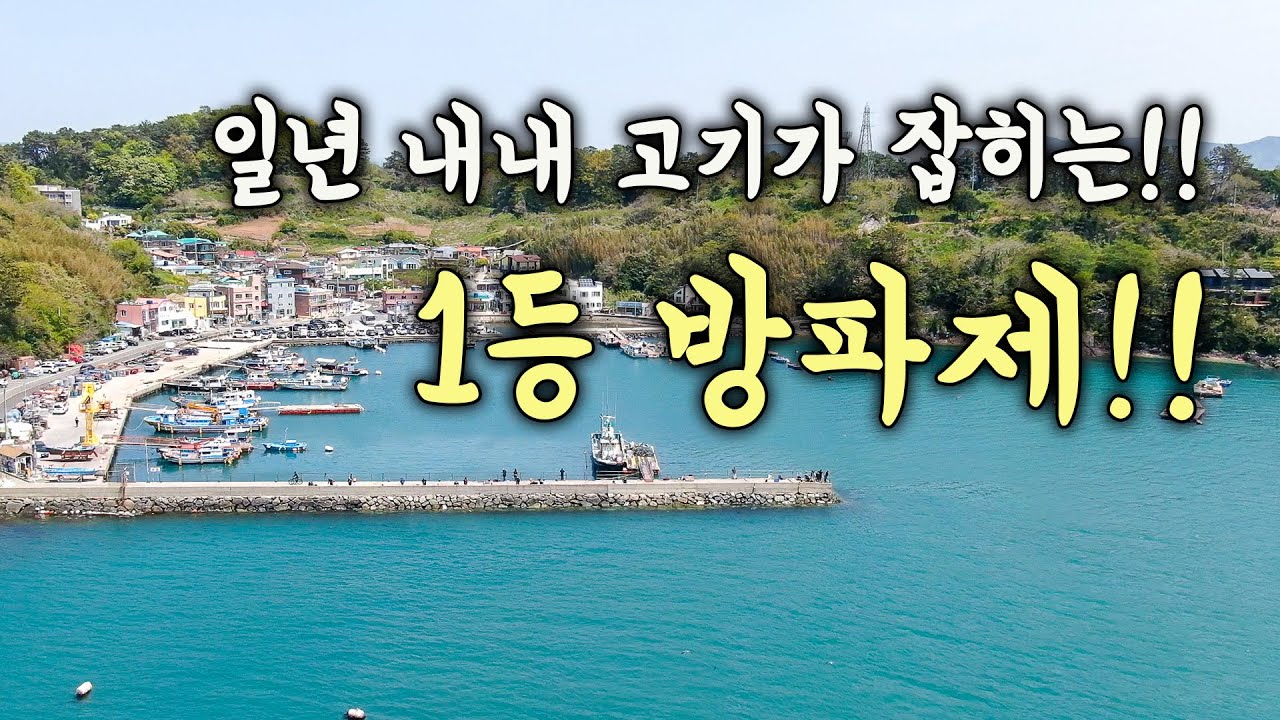 [다리tv] 일년내내 고기가 잡히는!!! 1등 방파제!!! 고등어 전갱이 민장대!!!
