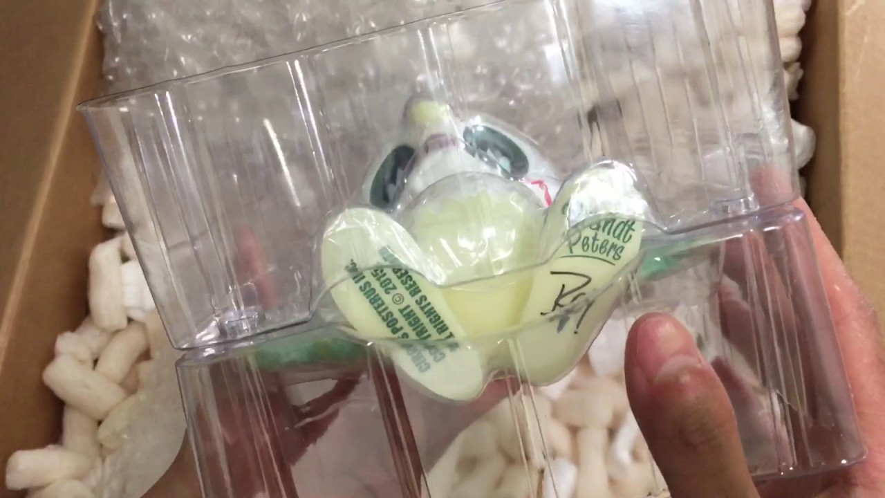 Strange Days: Kathie Olivas and Bats in the Belfry